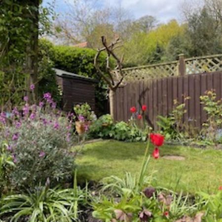 Picturesque Stone Cottage In The Heart Of North Yorkshire Village - Hideaway Cottage 외부 사진