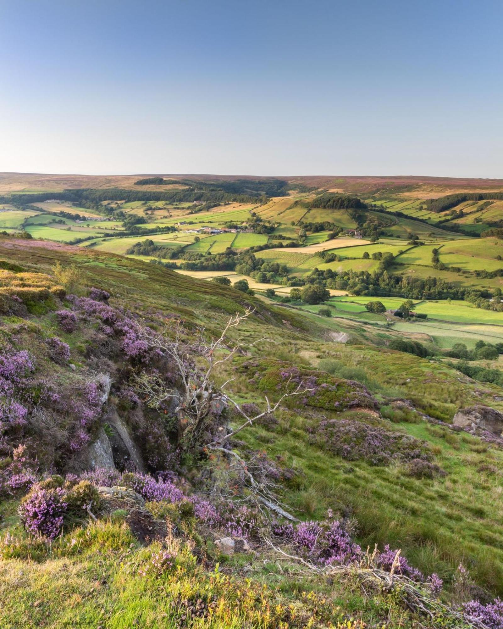 Picturesque Stone Cottage In The Heart Of North Yorkshire Village - Hideaway Cottage 외부 사진