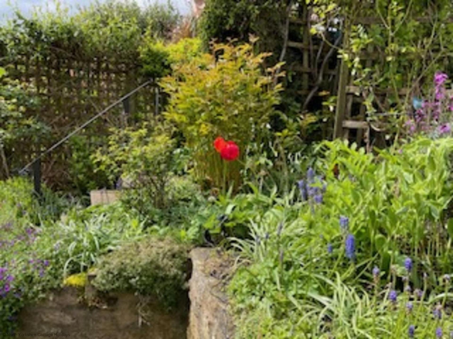 Picturesque Stone Cottage In The Heart Of North Yorkshire Village - Hideaway Cottage 외부 사진